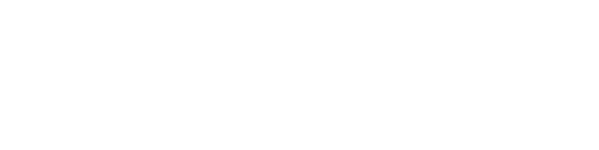 Logo Elite
